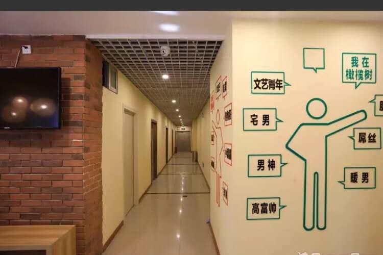 The Olive Tree Capsule Hostel Shenzhen Dış mekan fotoğraf