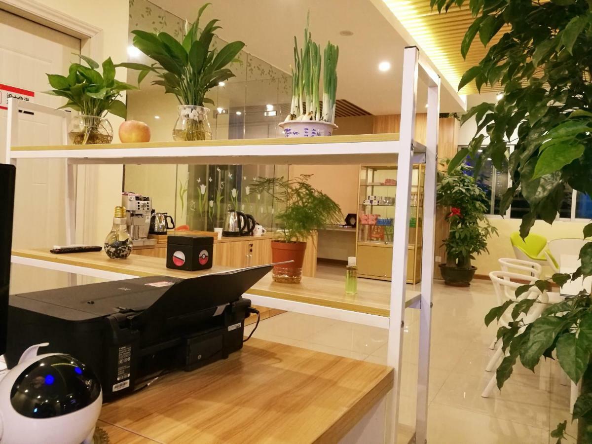 The Olive Tree Capsule Hostel Shenzhen Dış mekan fotoğraf